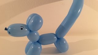 DIY hondje maken van 1 vouwballon [upl. by Eerhs714]