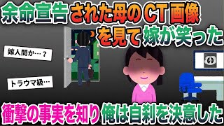 【2ch修羅場スレ】余命宣告された母のCT画像を見て嫁が笑った…嫁が10年かけて実行していた計画を知り俺は自◯を決意した。【ゆっくり解説】【2ちゃんねる】【2ch】 [upl. by Ynoyrb]