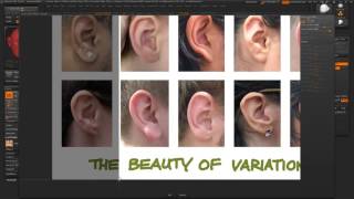 ZBrush ear sculpting tutorial [upl. by Atiuqet405]