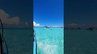 The beauty and uniqueness of Zanzibar island 🏝️ travel youtubeshorts africanholiday [upl. by Edward298]