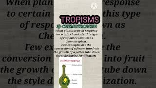 tropisms  tropic movement  neet2023 cbse [upl. by Oletta837]