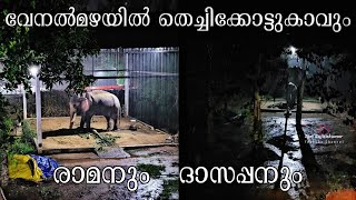 വേനല്‍മഴയില്‍ തെച്ചിക്കോട്ടുകാവും  Raman  Devidasan iamSujithKumar [upl. by Nava365]