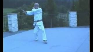 Tatsuo Suzuki  Bassai 拔塞 kata [upl. by Sussman110]