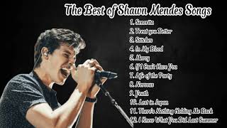 The Best of Shawn Mendes Songs [upl. by Haroldson]