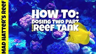 HOW TO Dosing Two Part in Your Reef Tank [upl. by Annoik]