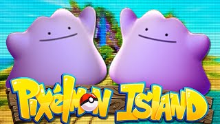 Minecraft PIXELMON ISLAND SMP  Episode 18 BREEDING DITTOs Pokemon Mod [upl. by Kcirdot]