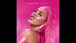 Streets Clean Radio Edit Audio  Doja Cat [upl. by Mathi485]