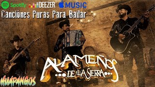 Los Alameños De La Sierra Mix 2024 Lo Más Chingon  Puros Huapangos  Puras Cumbias Para Bailar [upl. by Anirb]