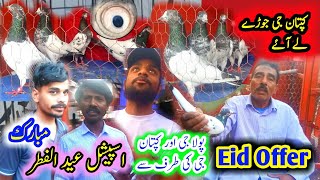 Kaptan Ji Ne Special Eid Offer Laga Di  Pola G Pigeon Club [upl. by Iona]