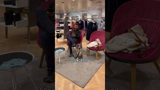 Münster Vlog  Reiter im Reallife 😂 münster shopping reiterleben [upl. by Nolita]