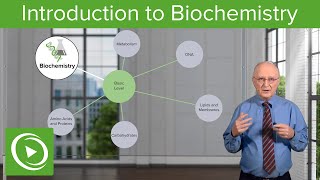 Introduction to Biochemistry – Biochemistry  Lecturio [upl. by O'Donnell]