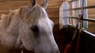 Wadena county fair in Wadena Minnesota on June 29 2013 [upl. by Armanda]