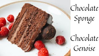 Chocolate Sponge Cake Recipe  Chocolate Genoise Sponge [upl. by Nimesay]