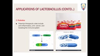 LactobacillusBacteriaInCurdProbiotics [upl. by Orteip]