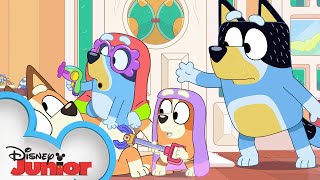 Bluey Season 3 Episode 48 quotGhostbasketquot Episode Clip  disneyjr x BlueyOfficialChannel [upl. by Elaen]