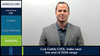 Live Cattle futures lower amid weak boxed beef prices 102924 [upl. by Nemlaz]