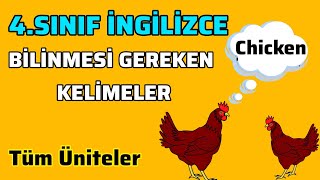 4Sınıf İNGİLİZCEBilinmesi Gereken Tüm Kelimeler Ünite1 Ünite10 [upl. by Irisa]