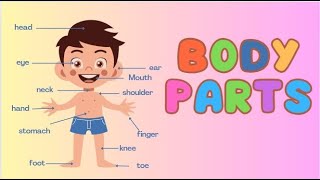 Body parts song for kids  Home School  Kindergarten  Nursery songs [upl. by Fifi]