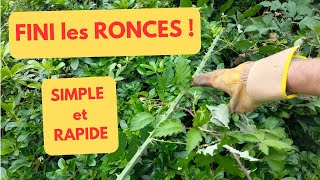 ELIMINER les RONCES SIMPLE et RAPIDE [upl. by Hume]