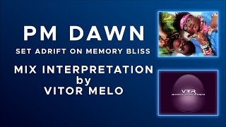 PM DAWN  SET ADRIFT ON MEMORY BLISS MIX INTERPRETATION [upl. by Llertak233]