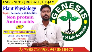 Non Proteine Amino Acids Secondary Metabolites CSIR NETJRF  GATE  Life science  ICMR [upl. by Oriel]