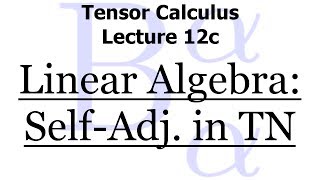 Tensor Calculus 12c The SelfAdjoint Property in Tensor Notation [upl. by Thgiwed]