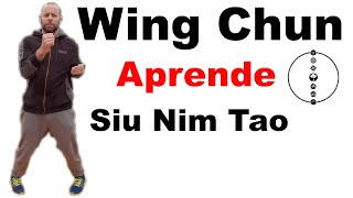 Aprende Wing Chun desde cero quot1ª Formaquot Siu Nim Tao 🐉Técnicas🐉 [upl. by Doherty]