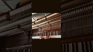 Long Chord Progression spanning the entire piano keyboard [upl. by Oniluap976]