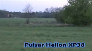 Тепловизионный монокуляр Pulsar helion xp38 в деле [upl. by Aimehs]