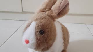 Toys r us pitter patter pets teeny weeny bunny brown and white [upl. by Isaak]