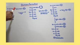 Osazone of DGlucose and DFructose [upl. by Danella]