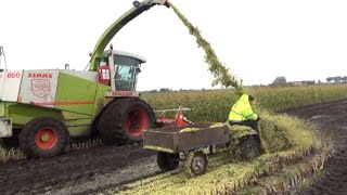 Maïs 2012  Quad bestuurder krijgt de volle laag maïs  Quad driver gets the full dose of corn [upl. by Josephson]