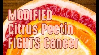 Modified Citrus Pectin fights Cancer Metastases [upl. by Dafna]