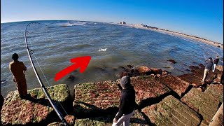 EVERYONE was Catching at the Jetty Family Day Packery Channel Jetty [upl. by Clementis]