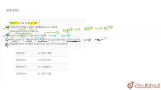 Which ones are correct Photosynthetic ATP synthesis is called [upl. by Eeram739]