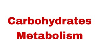 9th Biochemistry Lecture  Carbohydrates Metabolism [upl. by Rance]