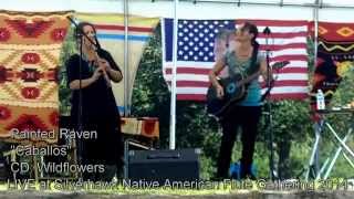 Painted Raven performs quotCaballosquot at the 2014 Silverhawk Native American Flute Gathering [upl. by Henarat]