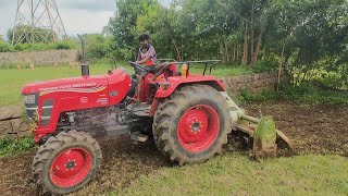 Mahindra yuvo tech plus 585 4wd and Arjun 605 S rotavator groundnut cultivator in solam [upl. by Tarton]