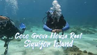 Scuba Diving in Siquijor Island Philippines [upl. by Mingche]