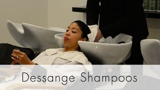 Dessange Shampoos [upl. by Hudnut]