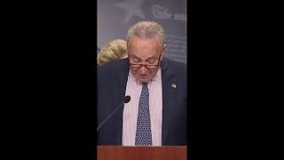 Chuck Schumer says Donald Trump’s Project 2025 plan makes US less safe shorts [upl. by Seymour]