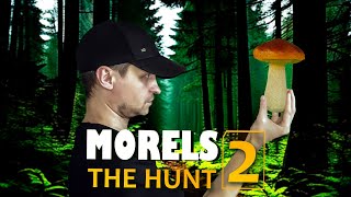 Morels The Hunt 2  Фотограф животных сзади грибник [upl. by Rhiamon]