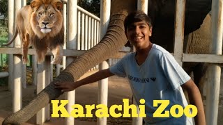 aaj hum karachi garden zoo gaye  🦁🦁 [upl. by Alduino]