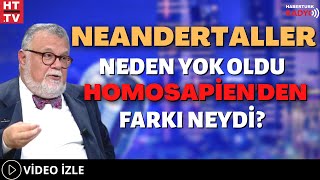 Neandertaller Neden Yok Oldu Homosapienden Farkı Neydi [upl. by Lorianne]