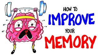 How To Improve Your Memory RIGHT NOW [upl. by Gothard]