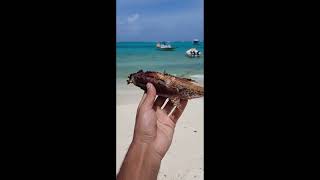 Lakshadweep  Lakshadweep Maas [upl. by Ingvar]