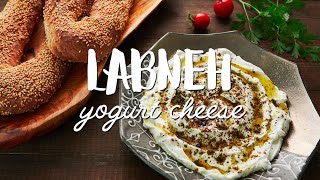 EASY Labneh Recipe [upl. by Euqinor]