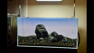 Iwagumi Aquarium Using Hakkai Stone [upl. by Renruojos569]