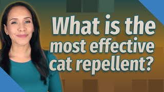 What is the most effective cat repellent [upl. by Lilithe]