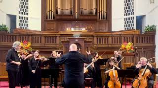 Remo Giazotto ‘Adagio for Strings’ in G Minor attr Albinoni Queensland Baroque Orchestra [upl. by Attehcram671]